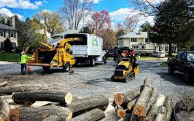 Best Storm Damage Tree Cleanup  in Apalachicola, FL